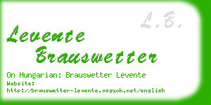 levente brauswetter business card